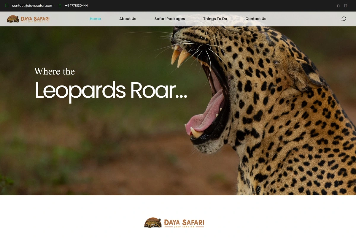 dayasafari.com